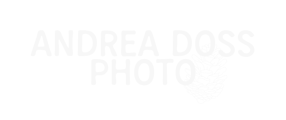 Andrea Doss Photo